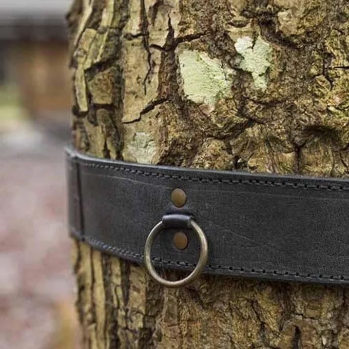 Epic Armoury Belt With Rings, Black 4 Epic Armoury Belt With Rings, Black - Image 2