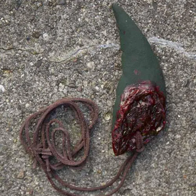 Epic Armoury Trophy Goblin Ear 3 Epic Armoury Trophy Goblin Ear